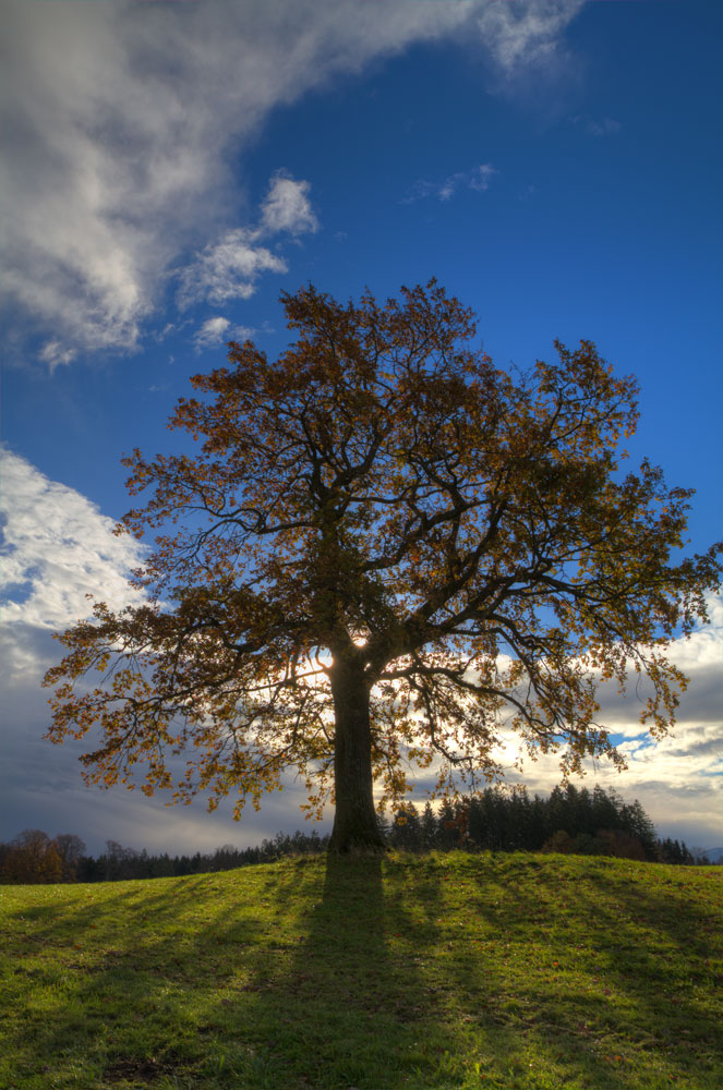 Herbst im Alpenvorland