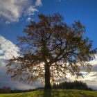 Herbst im Alpenvorland