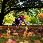 Herbst im Alsterpark: Auf der Suche nach Haselnüssen