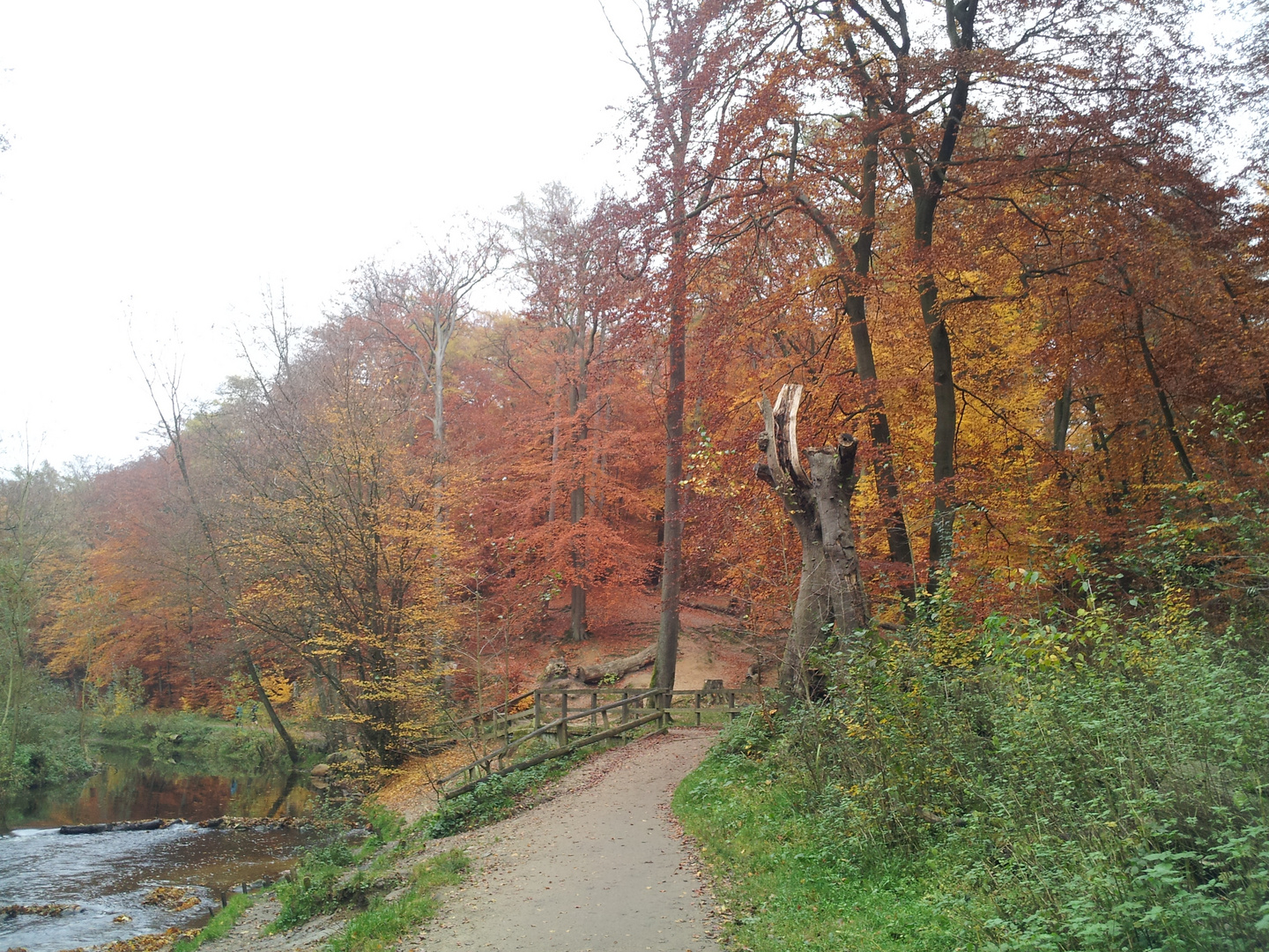 Herbst im Alsterpark Hamburg