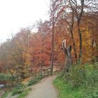 Herbst im Alsterpark Hamburg