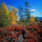 Herbst im Altai