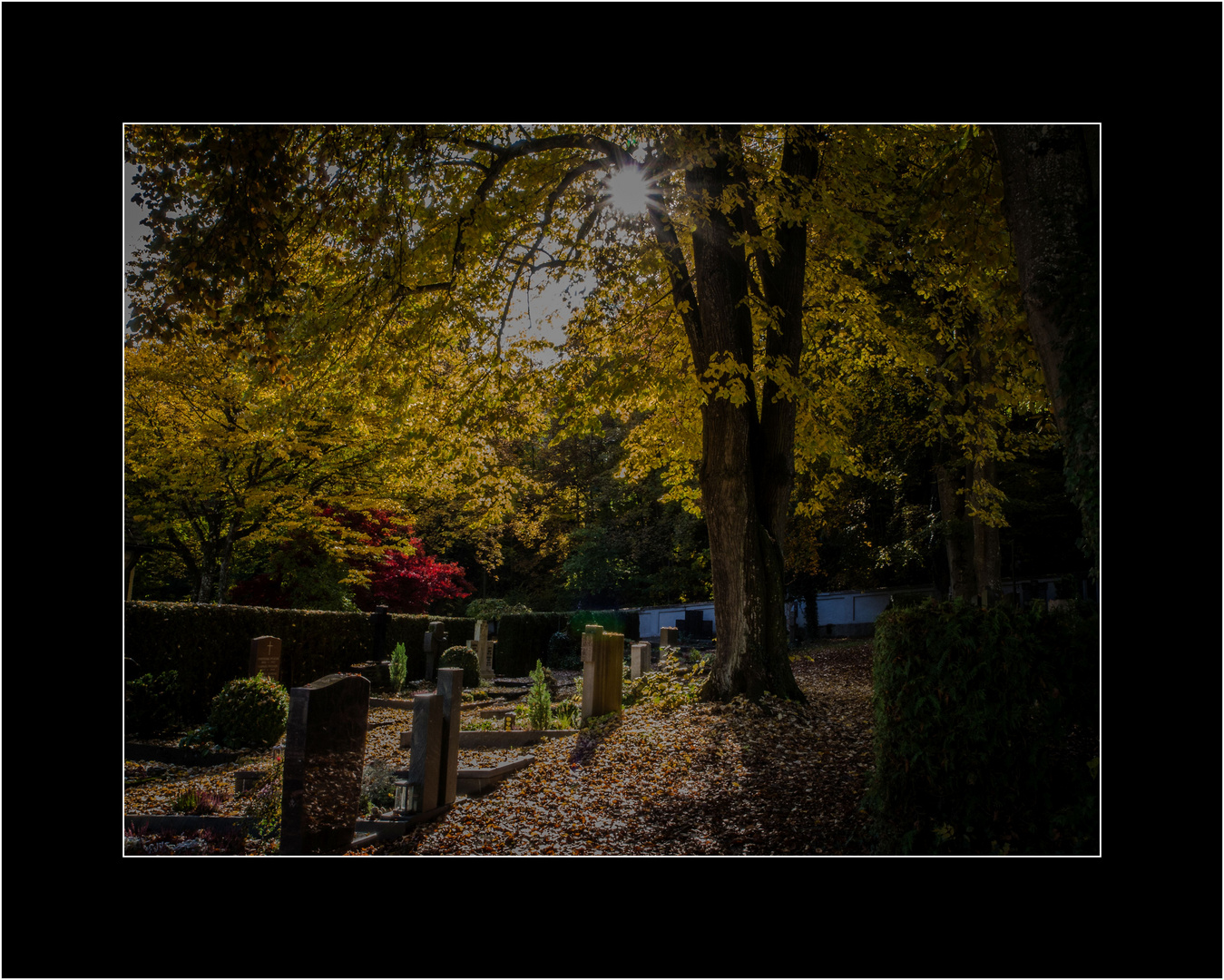 Herbst im alten katholischen Friedhof