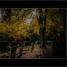 Herbst im alten katholischen Friedhof