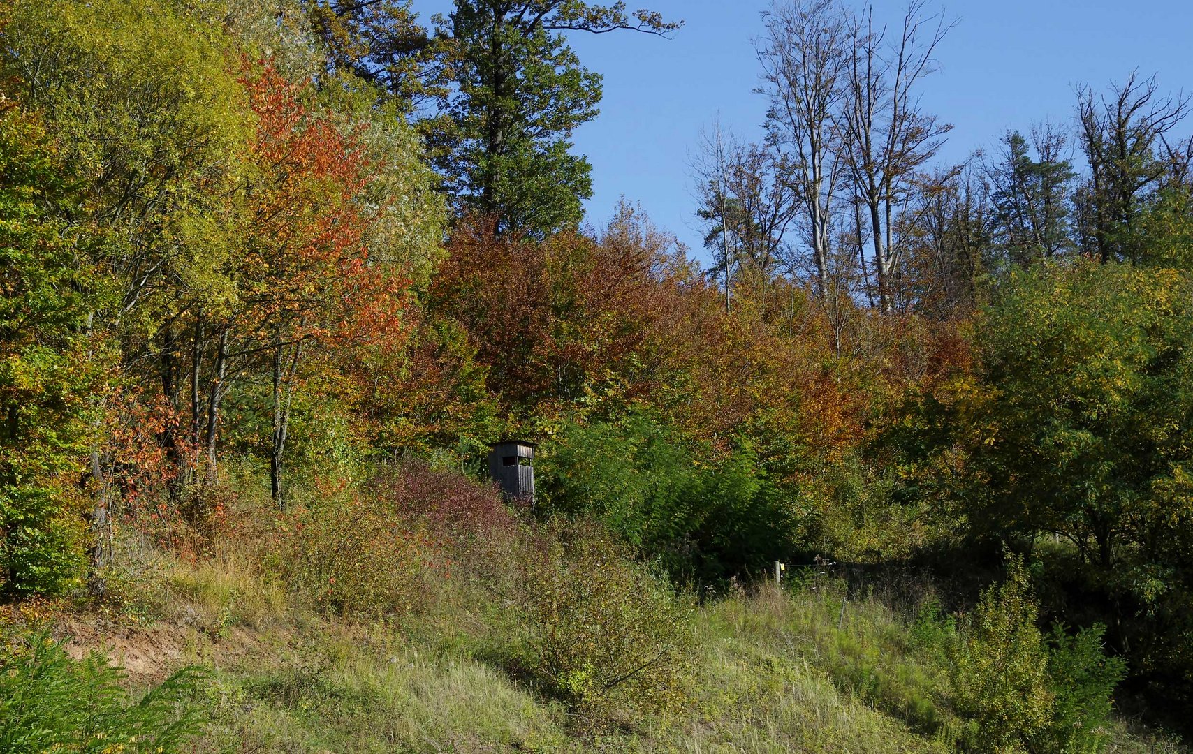 ...Herbst im alten Steinbruch