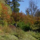 ...Herbst im alten Steinbruch