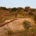 Herbst im alten Tagebau