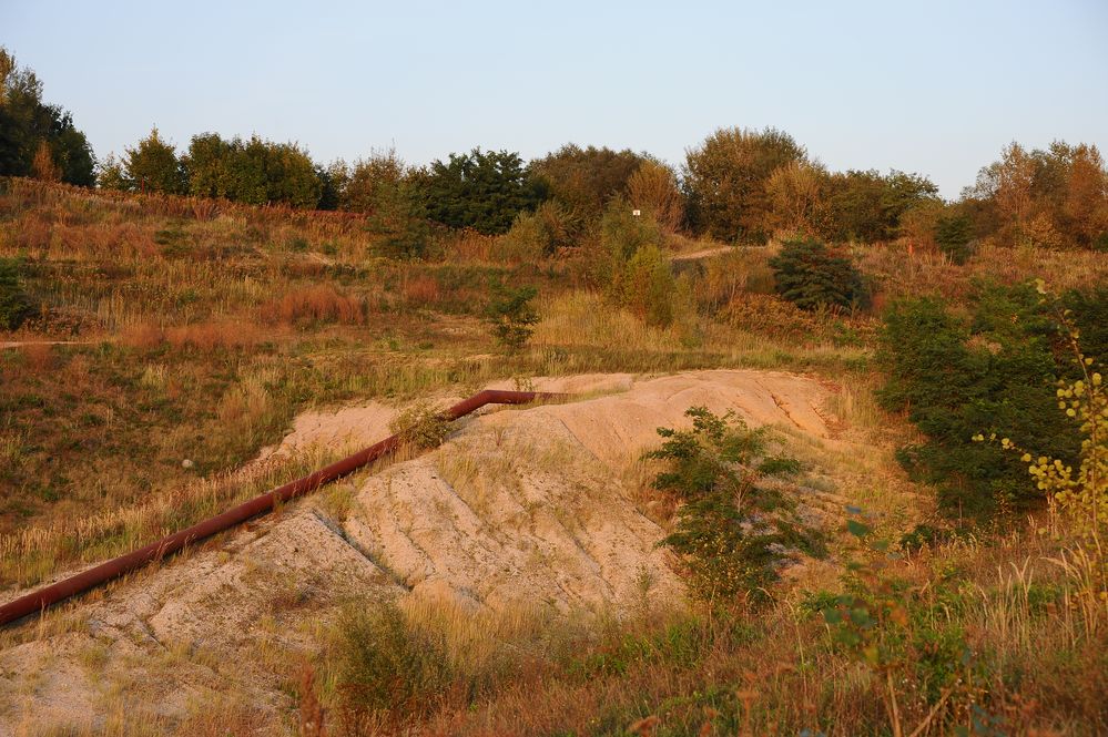 Herbst im alten Tagebau