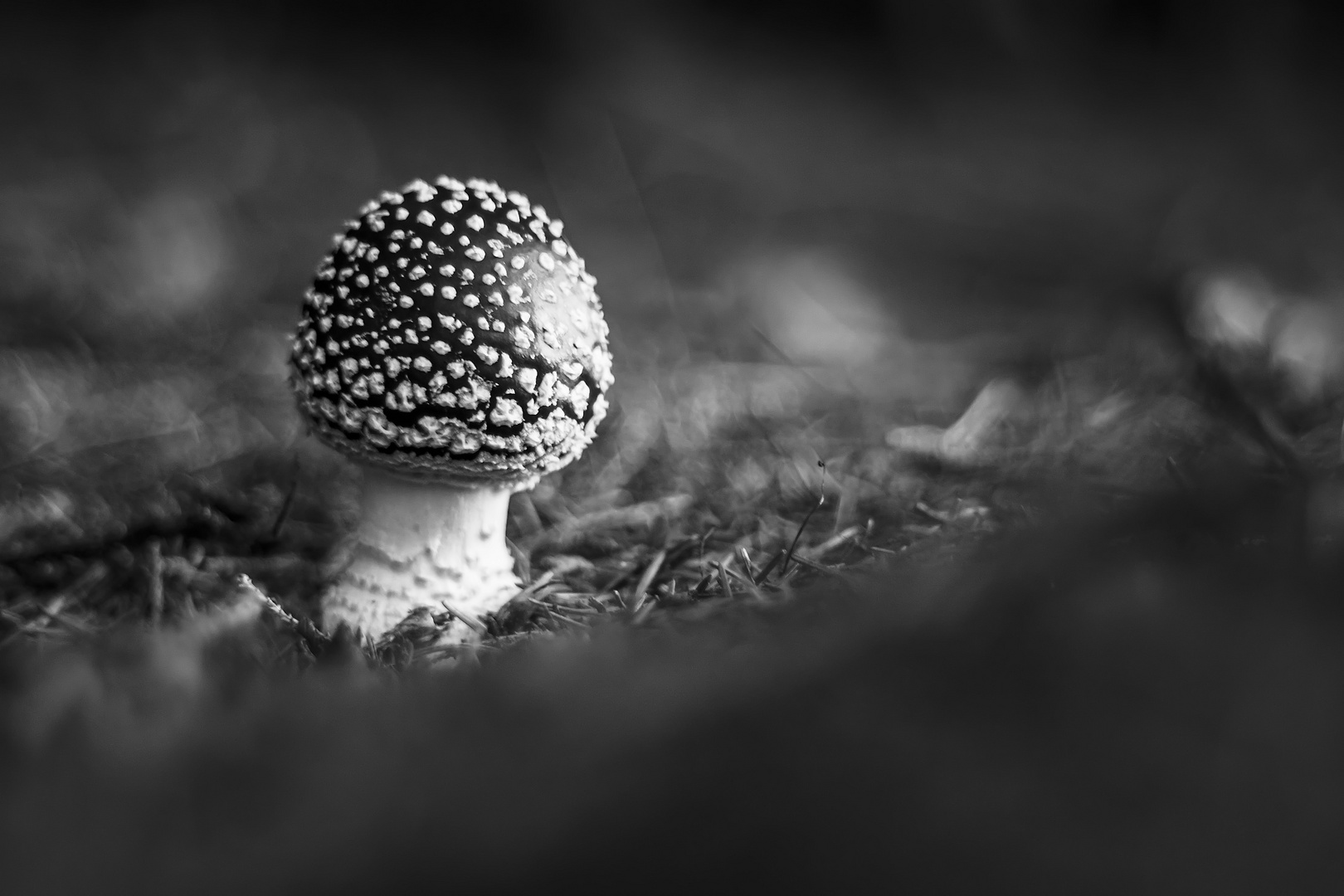 Herbst im Altglascontainer