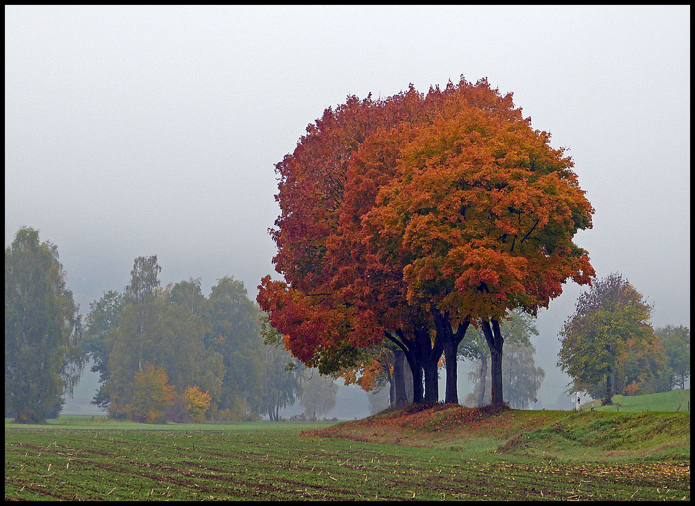 Herbst im Altmühltal