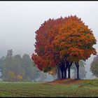 Herbst im Altmühltal