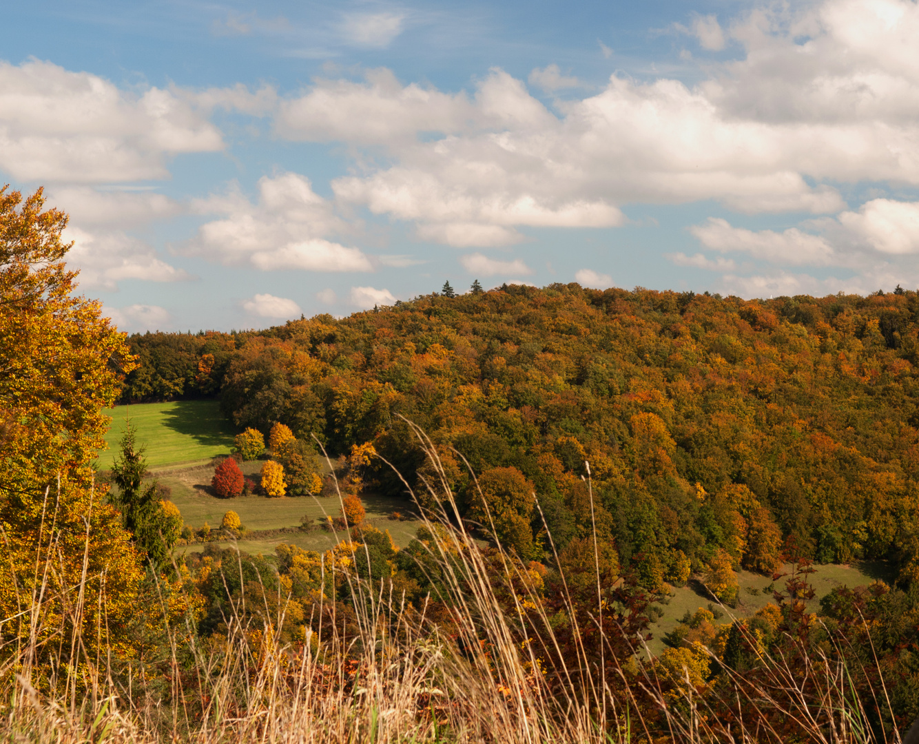 Herbst im Altmühltal