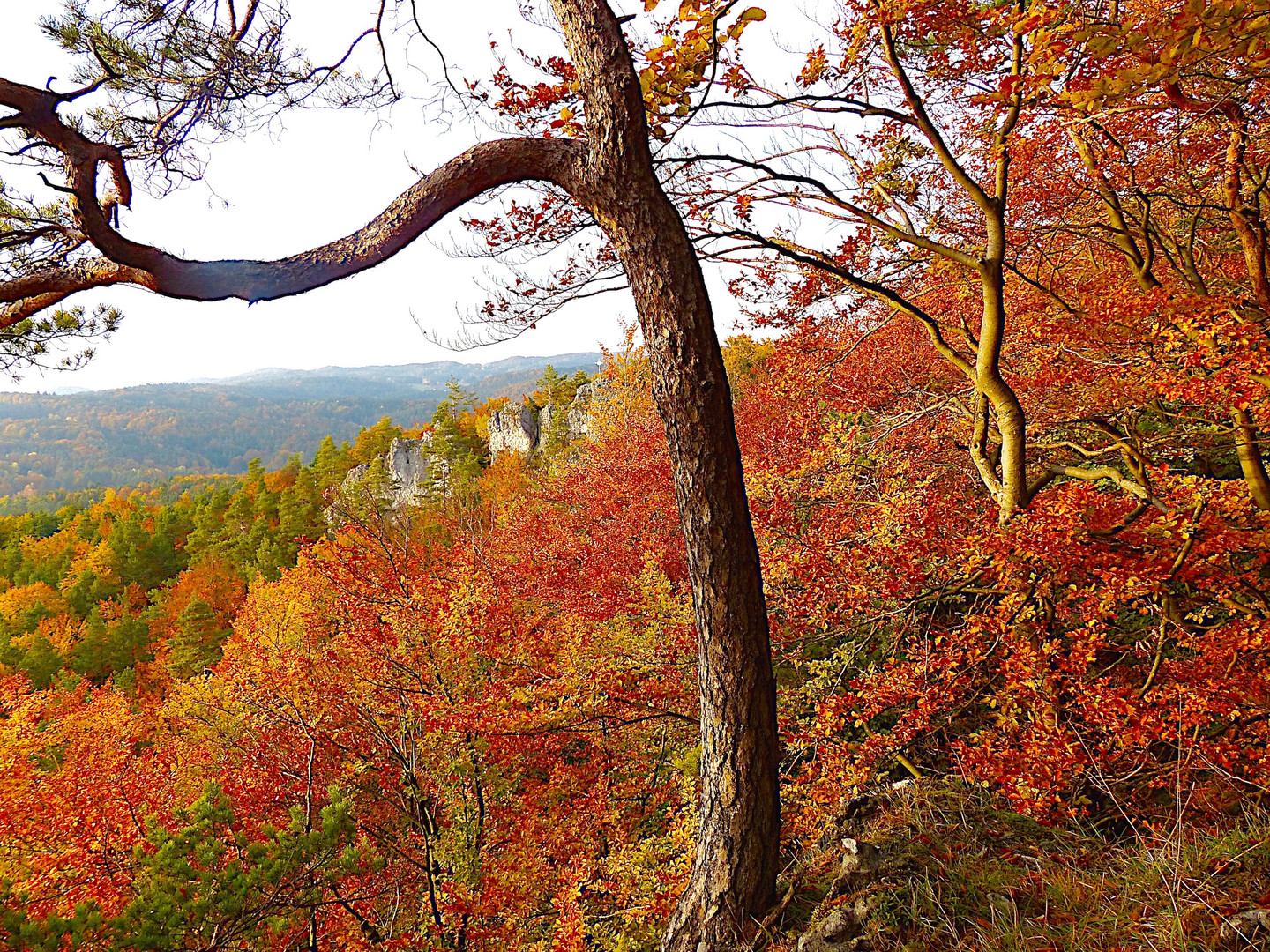 Herbst im Amberg-Sulzbacher Land/Bayern