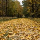 Herbst im Anmarsch 