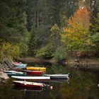 Herbst im Anmarsch