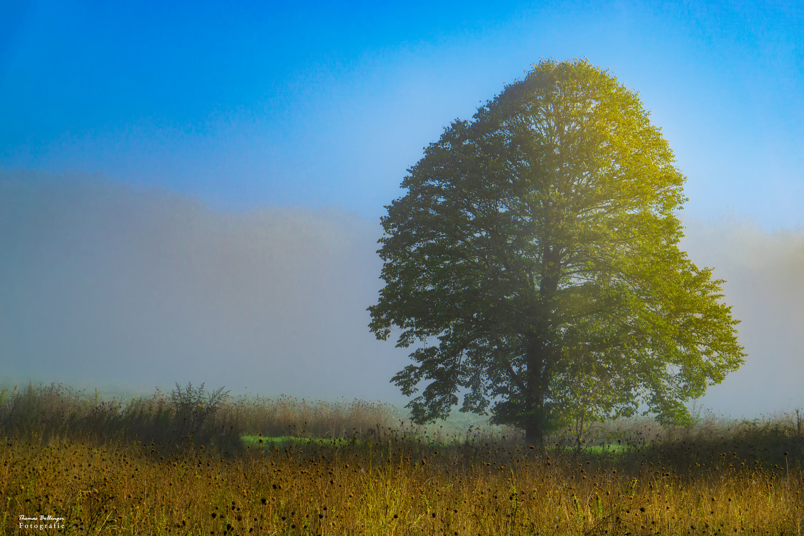 Herbst im Anmarsch.....