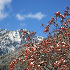 Herbst im Antholzer Tal . . .