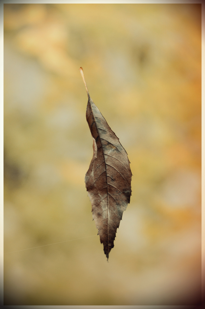 Herbst im Anzug