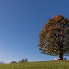 Herbst im Appenzeller Land