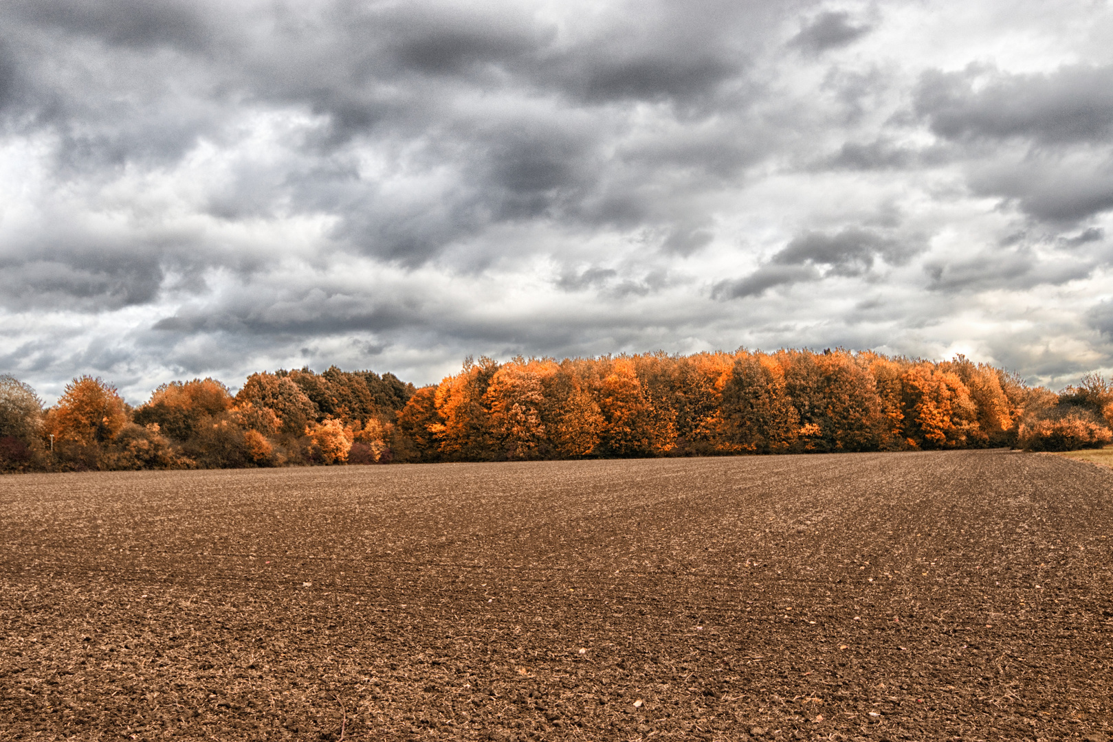 Herbst im Arboretum