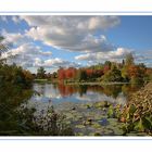 Herbst im Arboretum