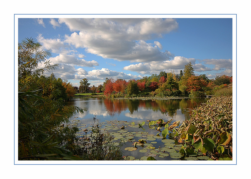 Herbst im Arboretum