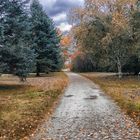 Herbst im Arboretum