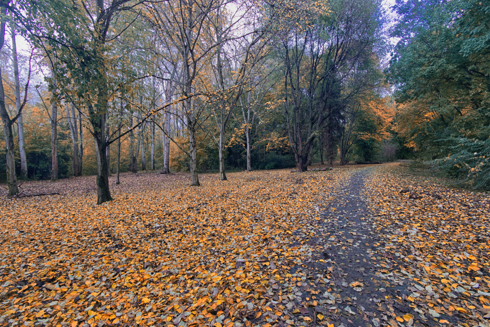 Herbst im Arboretum