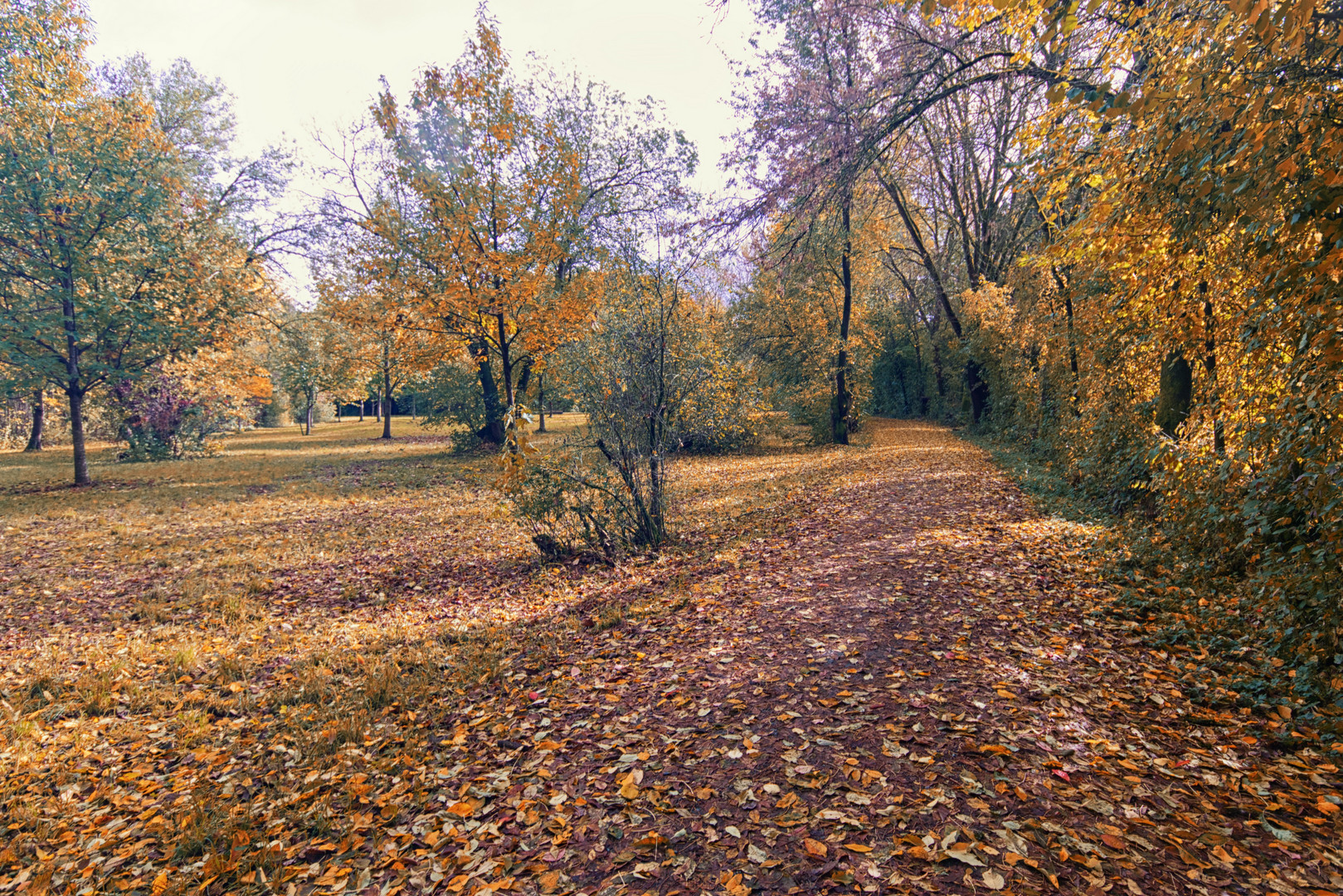 Herbst im Arboretum