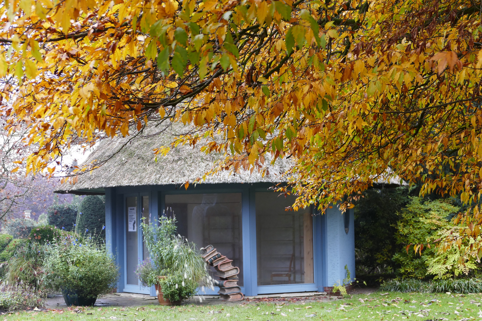 Herbst im Arboretum Ellerhoop 