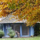 Herbst im Arboretum Ellerhoop 