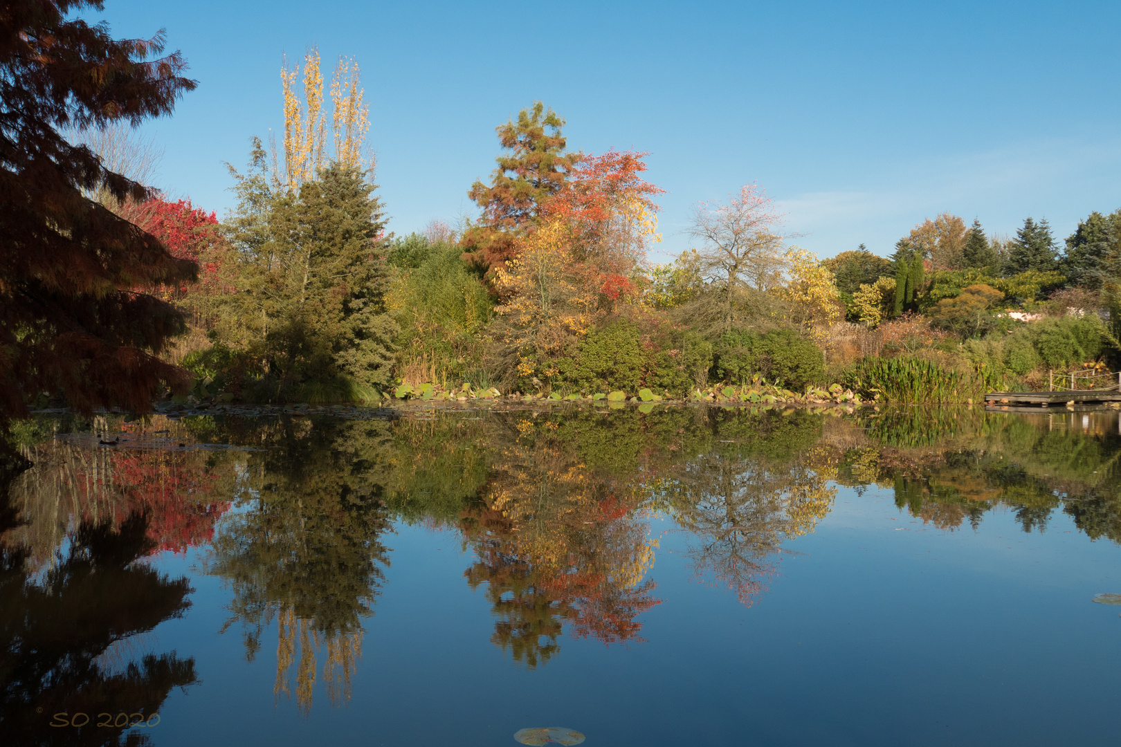 Herbst im Arboretum Ellerhoop