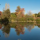 Herbst im Arboretum Ellerhoop