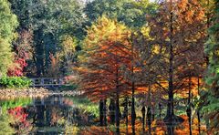 Herbst im Arboretum Ellerhop