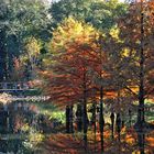 Herbst im Arboretum Ellerhop