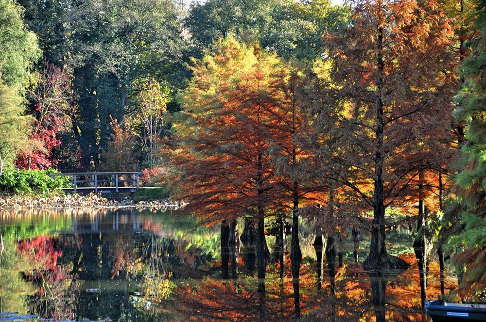 Herbst im Arboretum Ellerhop