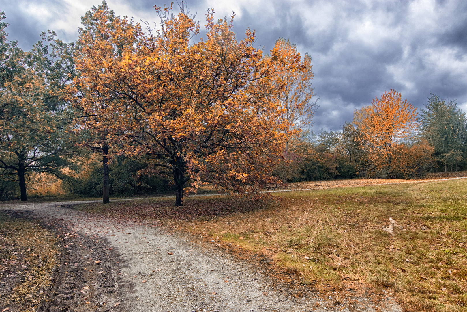 Herbst im Arboretum