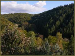 Herbst im Arboretum Wuppertal-Burgholz (2)