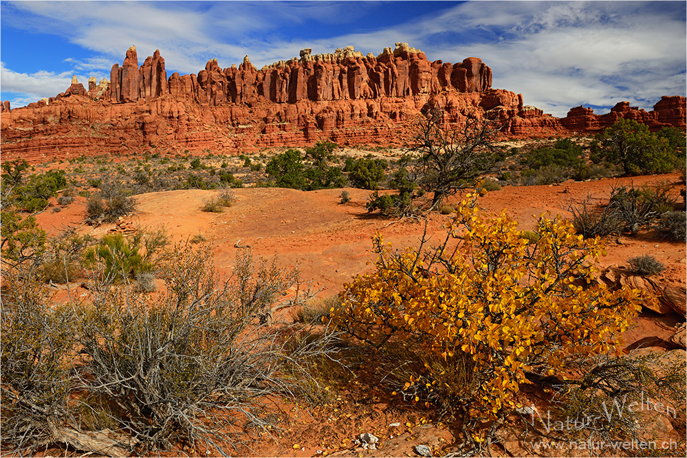 Herbst im Arches NP