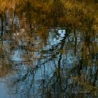 Herbst im Arnsberger Wald