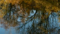 Herbst im Arnsberger Wald