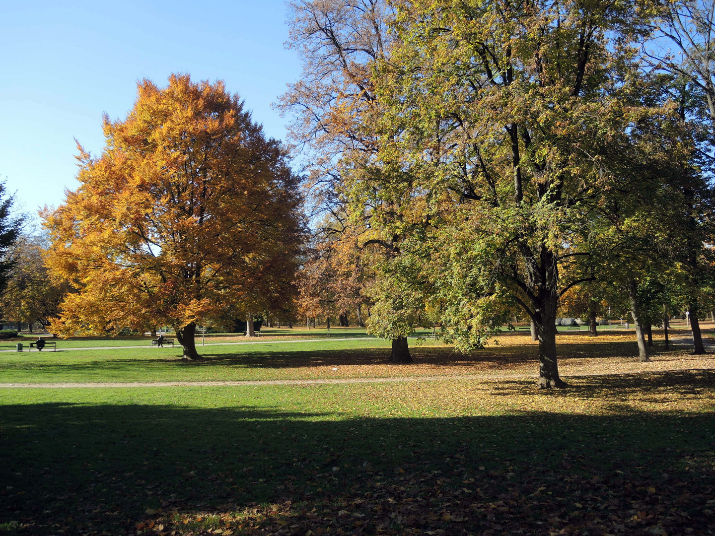 Herbst im Augarten