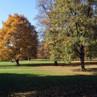 Herbst im Augarten