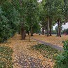 Herbst im August -2-