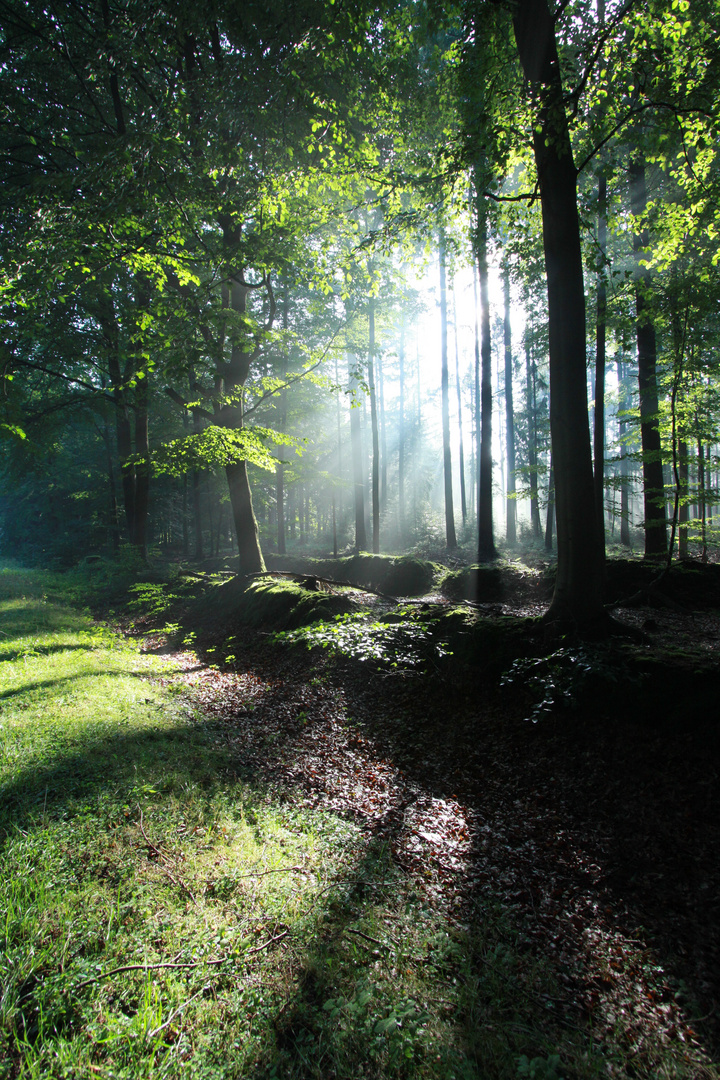 Herbst im August (!)