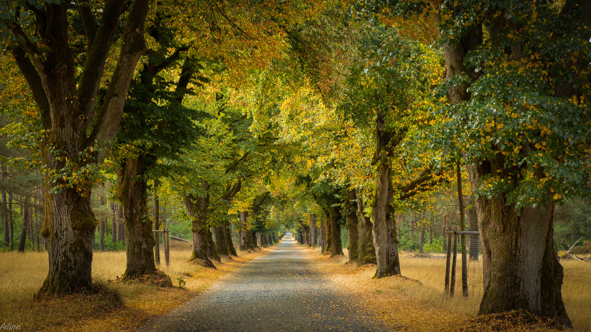 Herbst... im August?