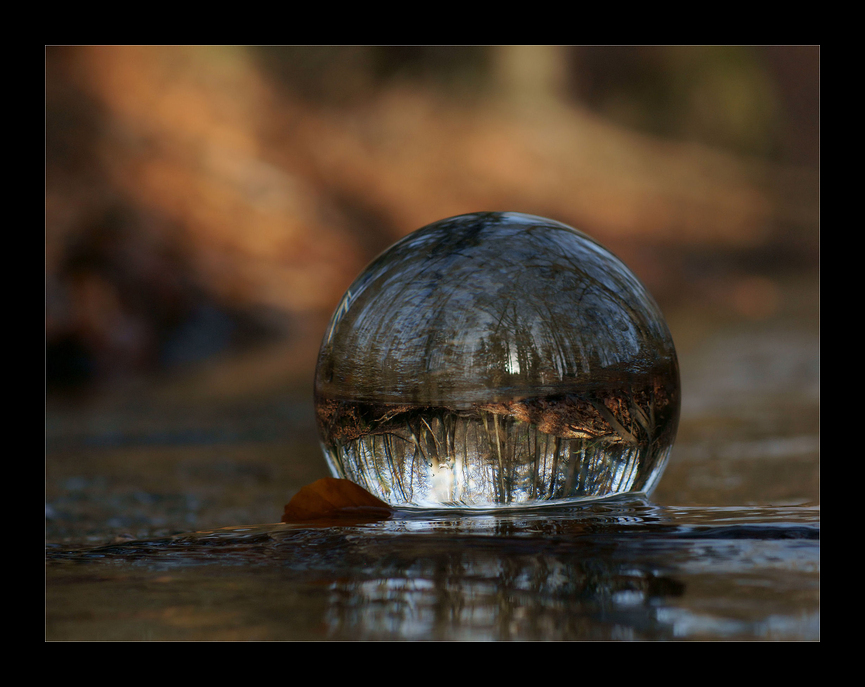 Herbst im Bach