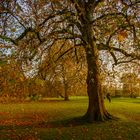 Herbst im Bagno