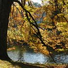 Herbst im Ballypark