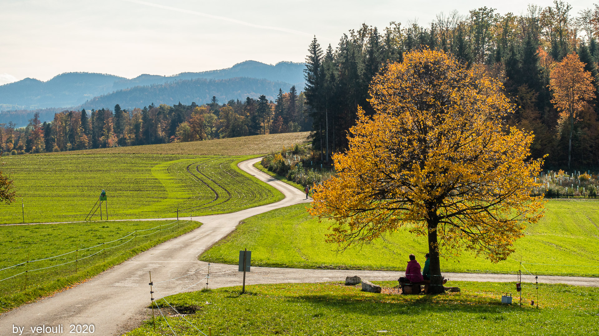 Herbst im Baselland